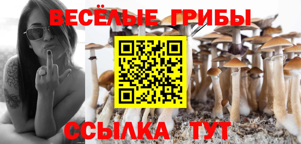 Марихуана  ЭКСТАЗИ  Меф   Метамфетамин  A-PVP СК   Гашиш  Кокаин  Саяногорск  Вход с VPN 