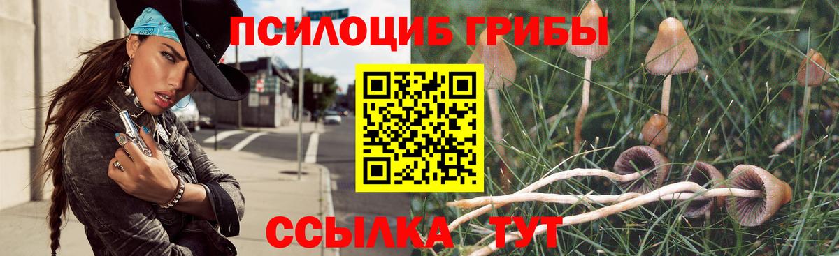 Галлюциногенные грибы MAGIC MUSHROOMS  Вход с VPN  Саяногорск 